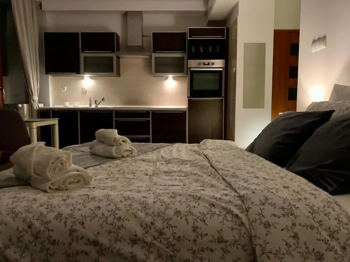 City View Wellness Apartment Swim&Steam&Relax Krakow